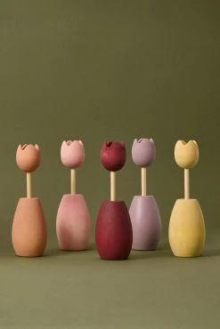 Raduga Grez Sorting Tulips *New*