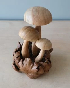 Odin Parker Handmade Wooden Mushrooms