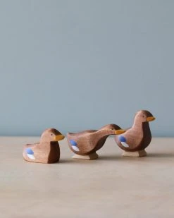 Brin D'Ours | Duck *New*