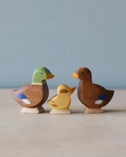Brin D'Ours | Duck *New*