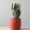 Odin Parker Handmade Felt Plant *New* 1 Odin Parker Handmade Felt Plant *New*