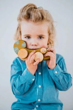 Friendly Toys Handmade Chameleon Push And Pull Toy *New* 7 Friendly Toys Handmade Chameleon Push And Pull Toy *New*