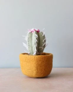 *New* Handmade Felt Succulent - Mustard