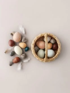 A Dozen Wooden Bird Eggs - Moon Picnic