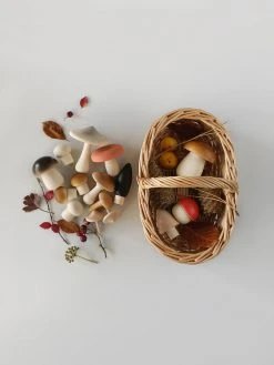 Forest Mushrooms Basket - Moon Picnic *New*