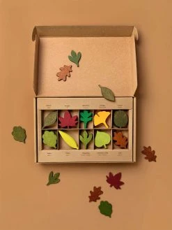 Moon Picnic Woodland Leaves