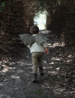 Fabelab Pretend Play Dragon Wings *New*