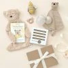 Odin Parker Honey Bear Newborn Gift Box *New* 2 Odin Parker Honey Bear Newborn Gift Box *New*