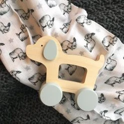 Briki Vroom Vroom Dog Push Toy *New*