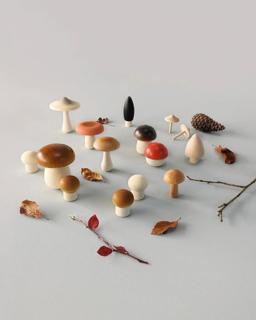 Forest Mushrooms Basket - Moon Picnic *New* 4 Forest Mushrooms Basket - Moon Picnic *New*