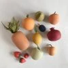 Sabo Concept *New* Handmade Wooden Fruits 1 Sabo Concept *New* Handmade Wooden Fruits